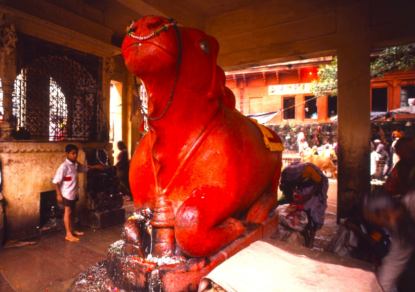 インドの神さまは今日も大忙しⅢ（その1）