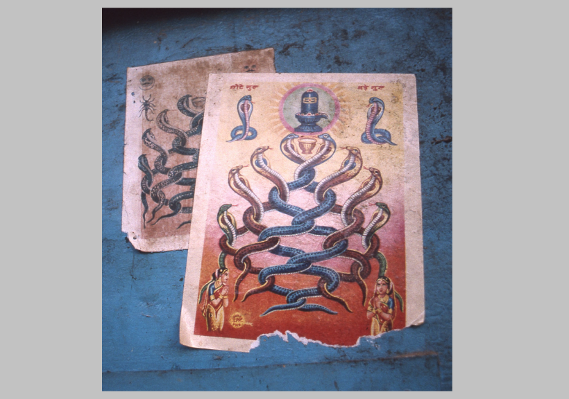 インドの神さまは今日も大忙し Ⅲ（その4）